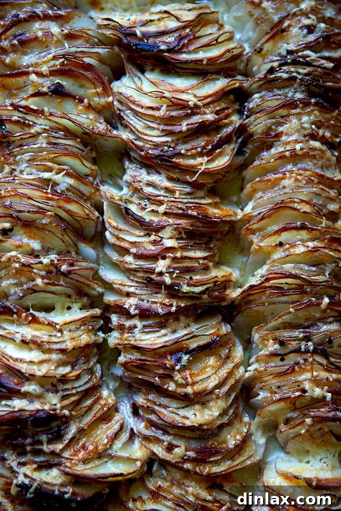A close-up shot of the freshly baked Hasselback potato gratin, highlighting its crispy edges and rich, golden-brown cheese crust.