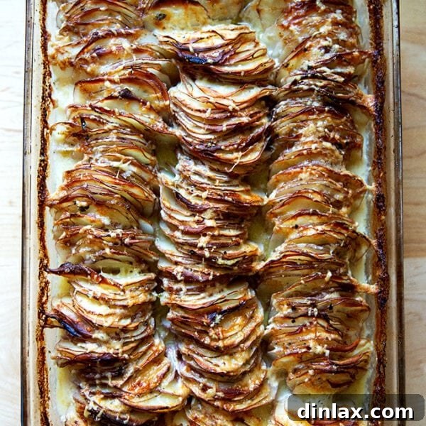 Just-baked hasselback potato gratin.