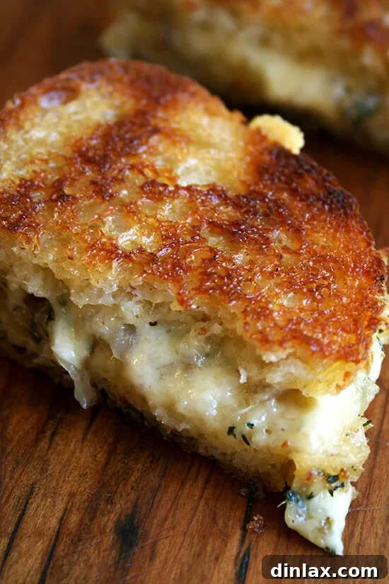 Close-up of a gourmet grilled cheese sandwich featuring Comté cheese, fresh thyme, and perfectly caramelized shallots.