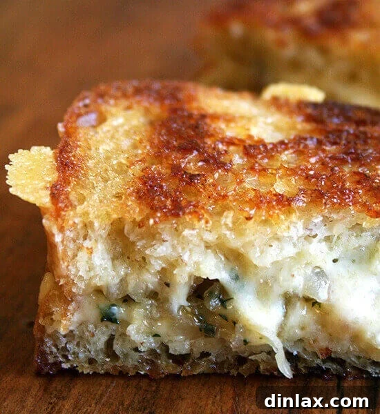 A beautifully golden grilled cheese sandwich paired with a fresh apple and arugula salad on a rustic plate.