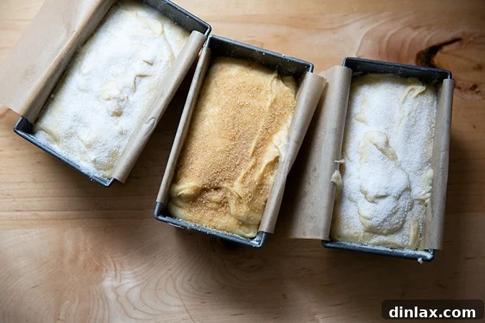Three mini loaves of pound cake, one with turbinado sugar topping and two with granulated sugar, arranged before baking.