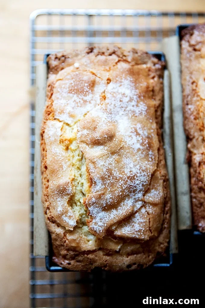 A beautifully golden-brown, freshly baked pound cake resting on a cooling rack, steam gently rising.