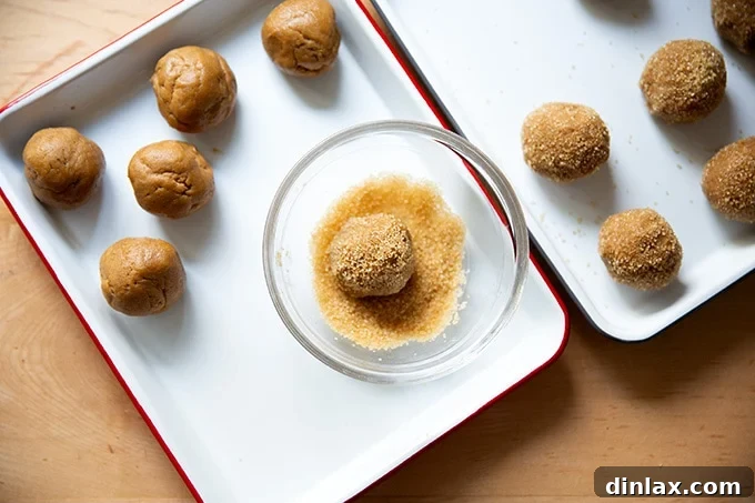 Rolled portions of gingersnap cookies coated in raw turbinado sugar, ready for baking.