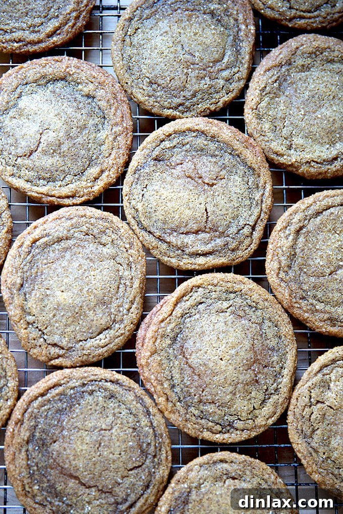 A few gingersnap cookies carefully placed on a wire cooling rack after baking.
