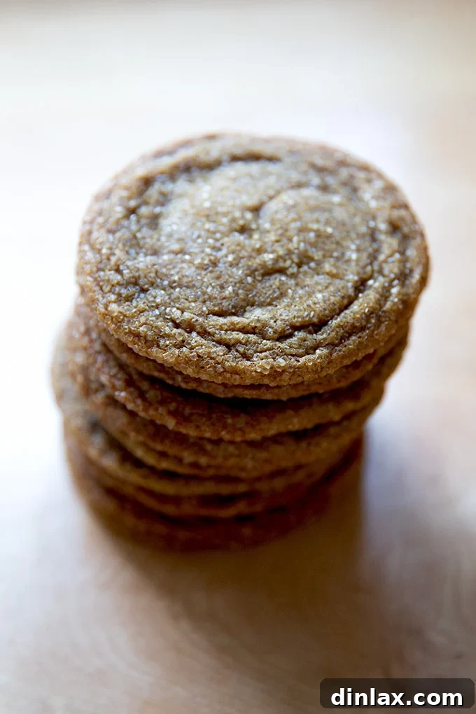 A neatly stacked tower of crisp and chewy gingersnap cookies, showcasing their texture.