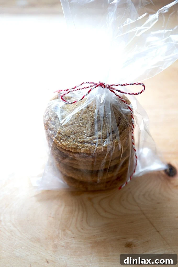 A transparent bag filled with gingersnap cookies, tied with a decorative bow, ready for gifting.
