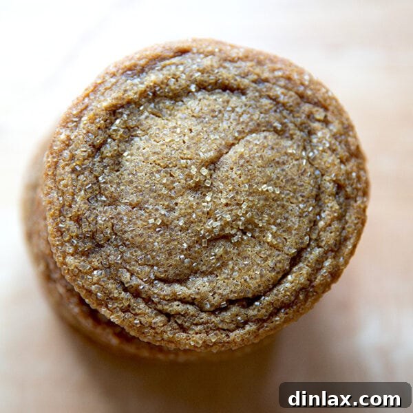 An overhead view of a stack of gingersnap cookies.