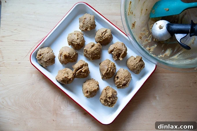 Portioned gingersnap cookie dough balls on a surface, ready for rolling.