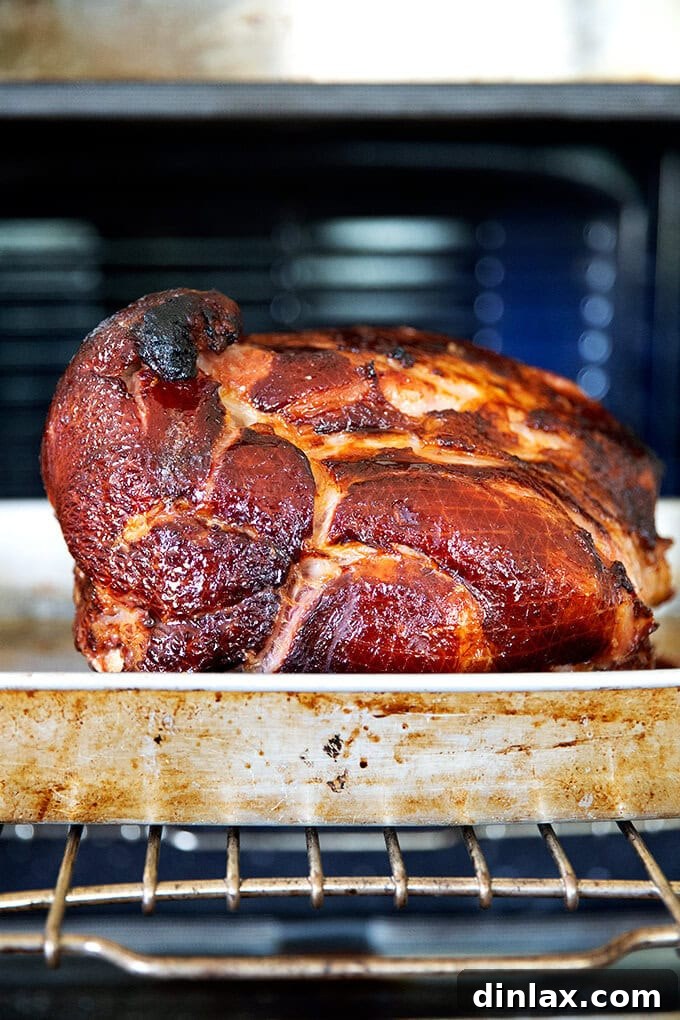 A brown sugar glazed ham emerging from the oven.