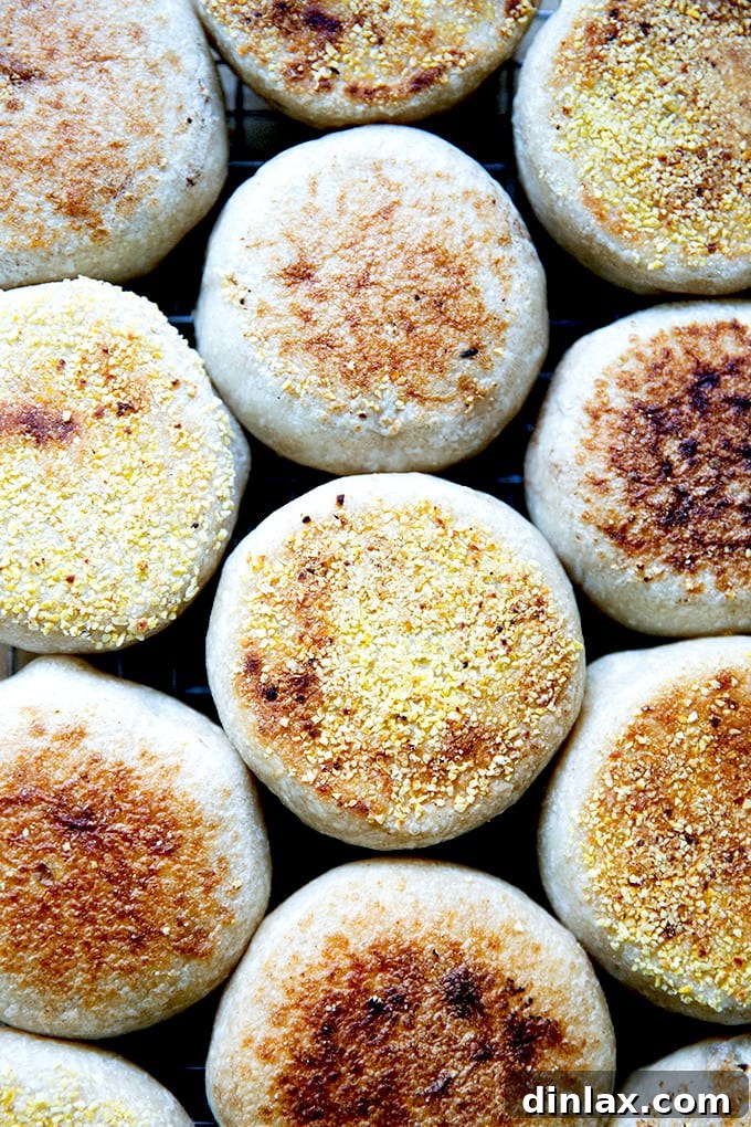 Freshly baked sourdough English muffins on a cooling rack, ready to be enjoyed.