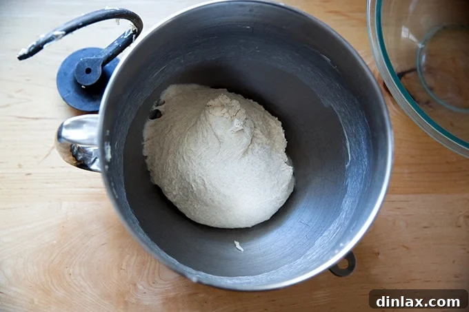 Smooth, shiny dough after butter incorporation and final mixing.