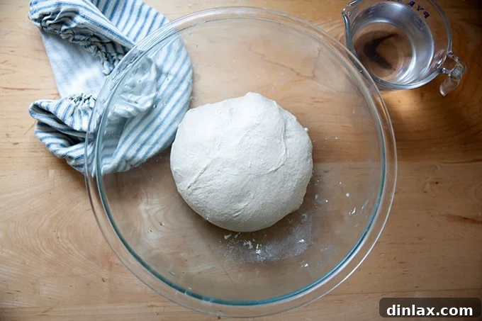 Dough resting in a bowl before the first stretch and fold.