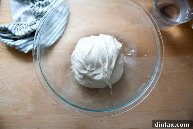 Final stretch and fold, completing one set.