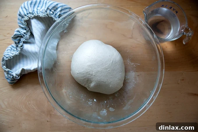 Dough covered after a set of stretch and folds.