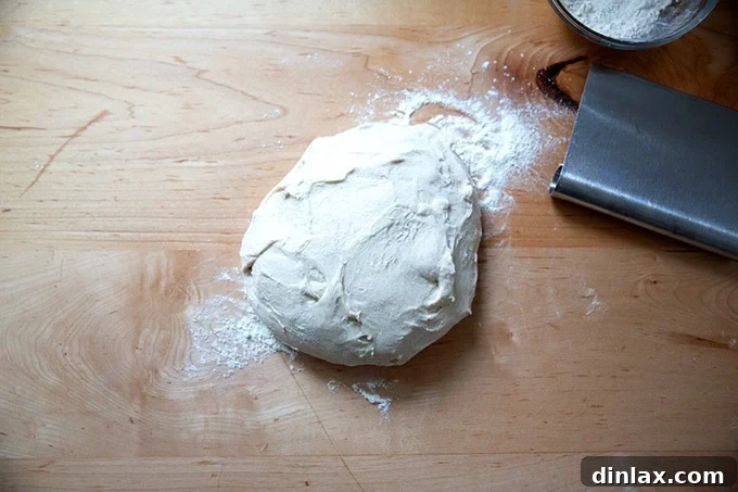 Dough turned out onto a lightly floured work surface.
