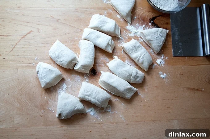 Dough divided into 12 portions.