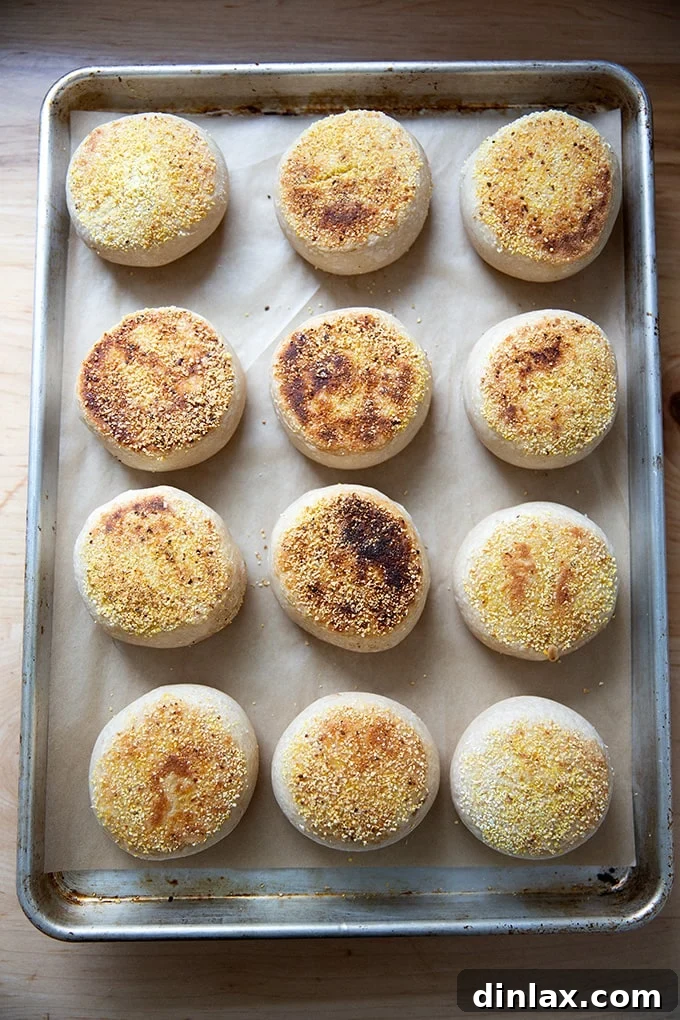 English muffins baking in the oven after stovetop browning.
