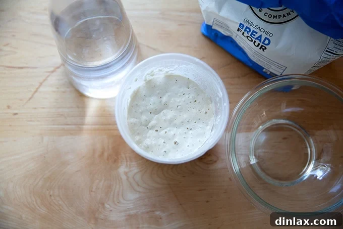 Measuring out ripe sourdough starter for the levain.