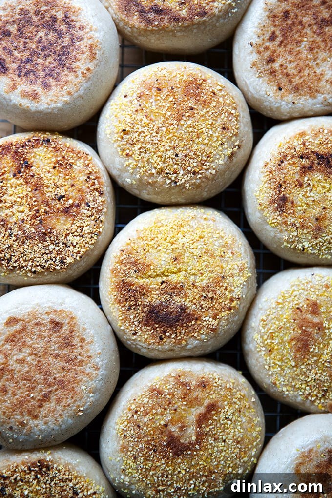 Cooked sourdough English muffins with a slightly golden hue.