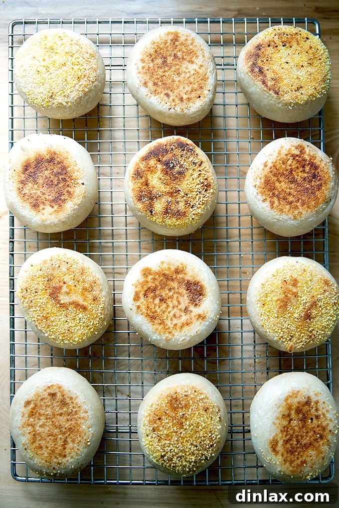 A close-up view of the perfectly browned exterior of a sourdough English muffin.