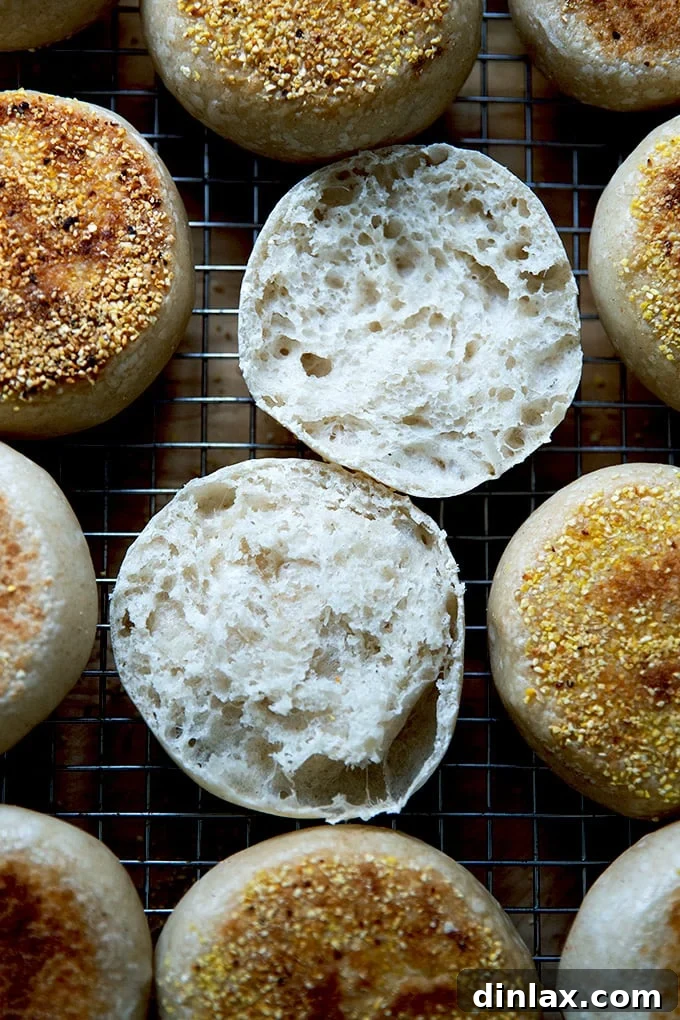 A freshly cooked English muffin being split open to reveal its airy interior.