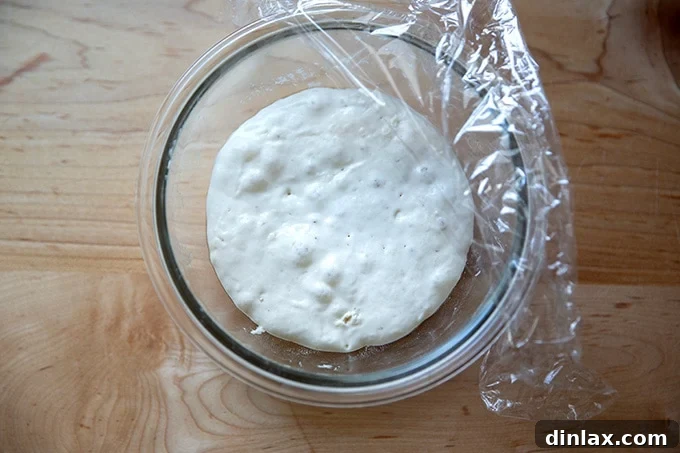 Active and bubbly levain after 12 hours of fermentation.