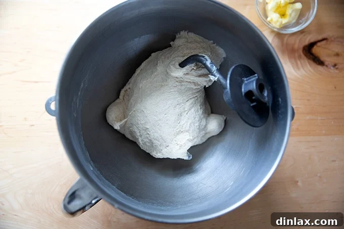 Dough resting in the stand mixer bowl after initial mixing.