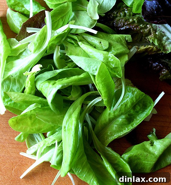Alice Waters' Signature Baked Goat Cheese Salad 9 Delicate Baby Greens