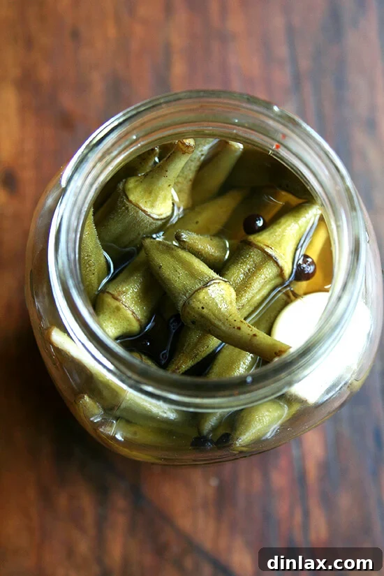 Delightful Pickled Okra: A Culinary Revelation for Home Cooks and Food Enthusiasts