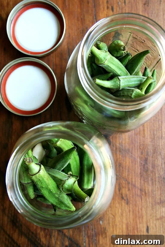 Freshly pickled okra spears neatly packed in glass canning jars