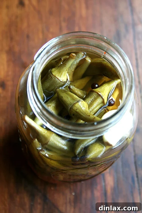 Delicious and crunchy pickled okra ready for serving