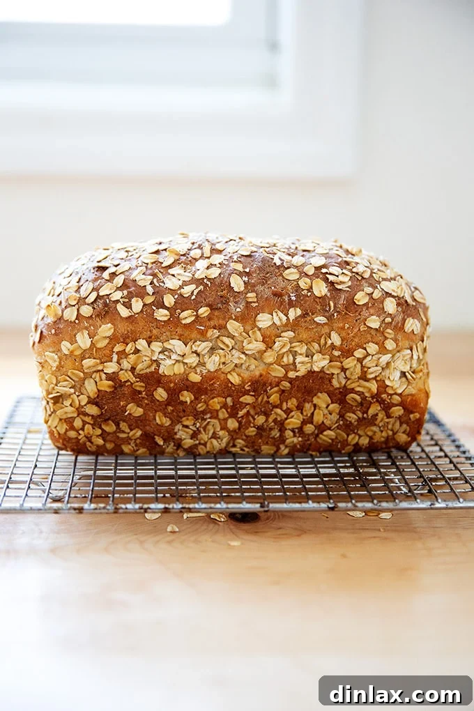 Freshly baked maple oat bread loaf resting on a cooling rack, steam gently rising.