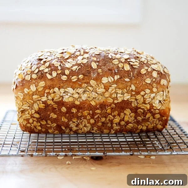 Freshly baked maple oat bread loaf resting on a cooling rack.