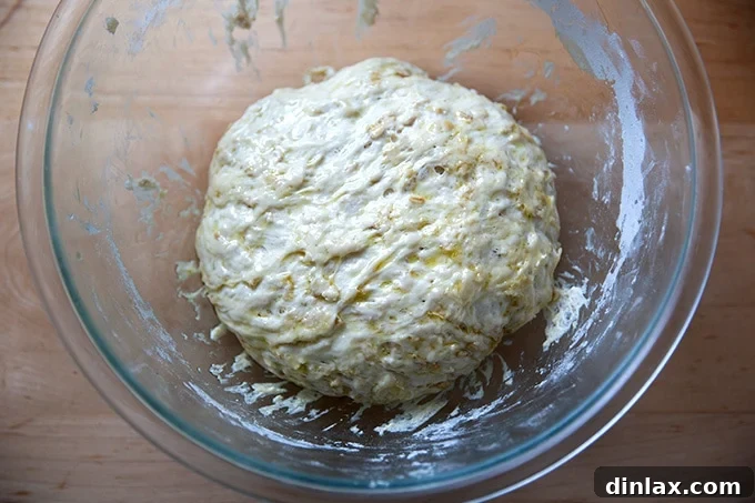 No-knead maple oat bread dough after the first rise, gently deflated and coated with olive oil.