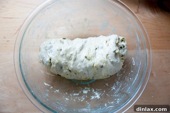 Triple-Seed Stir-and-Bake Loaf 11 The three-seed bread dough, deflated and skillfully rolled into a compact coil, perfectly shaped for the loaf pan.