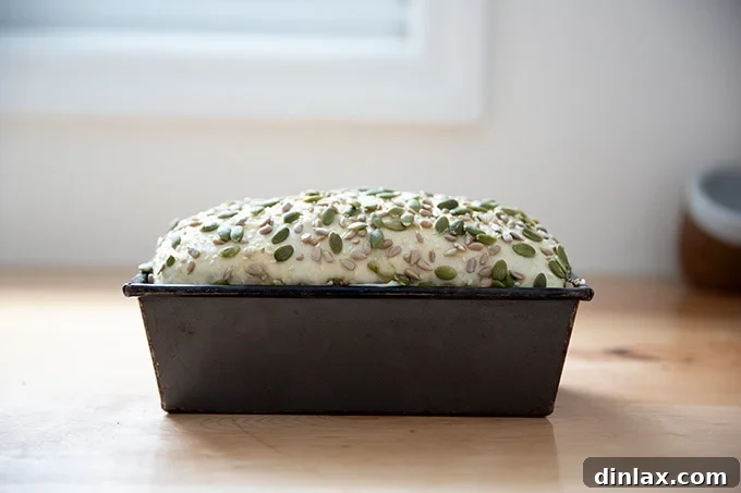 Triple-Seed Stir-and-Bake Loaf 16 The three-seed bread dough, actively rising in a loaf pan, demonstrating good yeast activity and expansion.