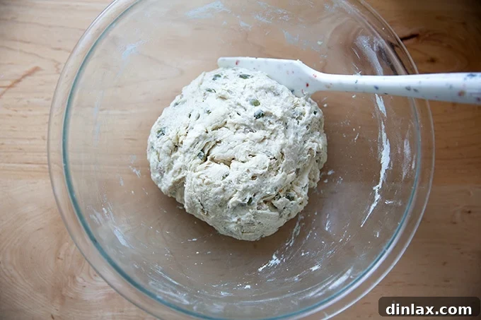 Triple-Seed Stir-and-Bake Loaf 7 The thoroughly mixed three-seed bread dough, a sticky ball in a large bowl, ready for its first rise.