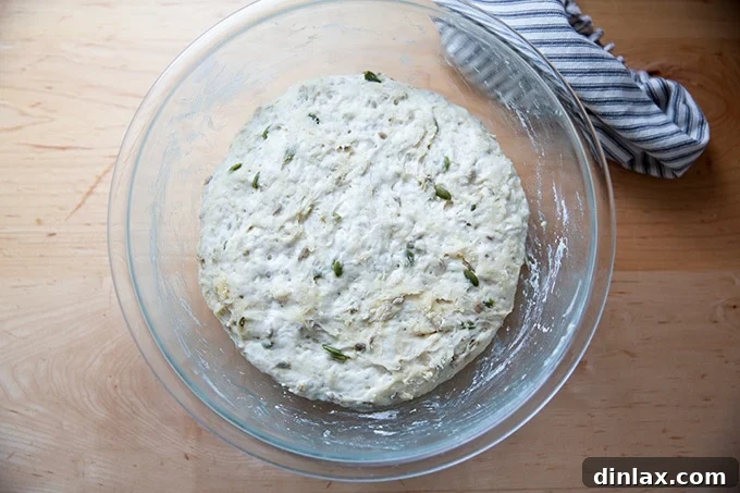 Triple-Seed Stir-and-Bake Loaf 9 The three-seed bread dough after its first successful rise, now visibly doubled in volume in the bowl.