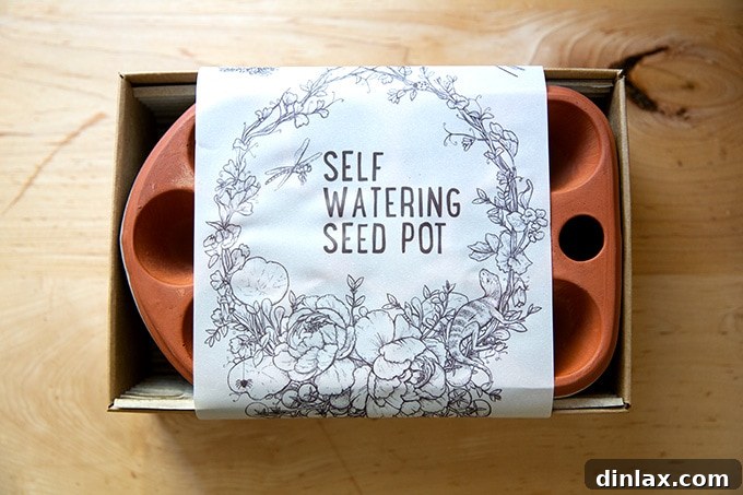 15 Perfect Mothers Day Gifts 17 An Orta self-watering seed pot, a clever gardening solution, on a kitchen countertop.