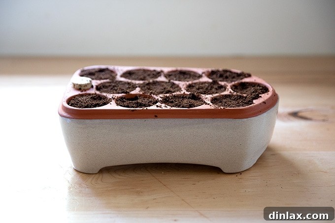 15 Perfect Mothers Day Gifts 19 An Orta self-watering seed pot filled with soil, ready for seeds to be planted.