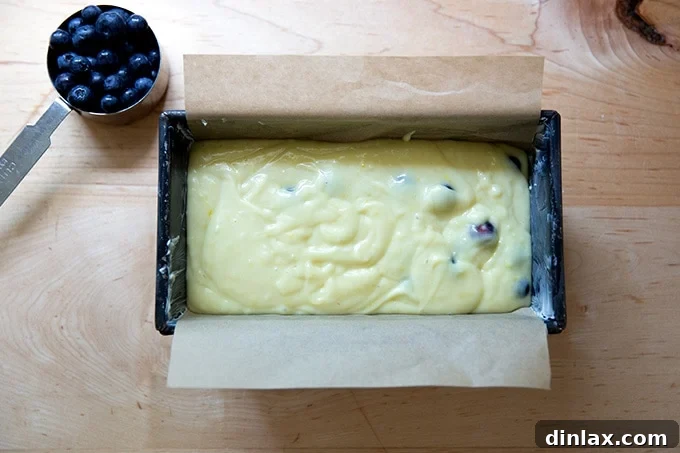 Effortless Lemon Blueberry Bread 15 A loaf pan filled with the lemon-blueberry quick bread batter, smoothed on top.