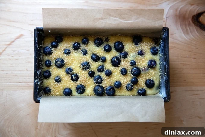 Effortless Lemon Blueberry Bread 16 Raw lemon-blueberry quick bread batter in a loaf pan, topped with additional blueberries and a sprinkle of turbinado sugar, ready for baking.