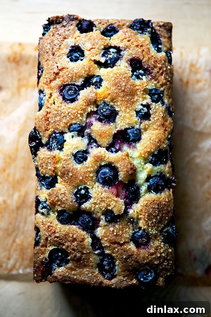 Effortless Lemon Blueberry Bread 18 A beautiful, fully baked lemon-blueberry quick bread, removed from the pan and parchment, cooling on a wire rack.