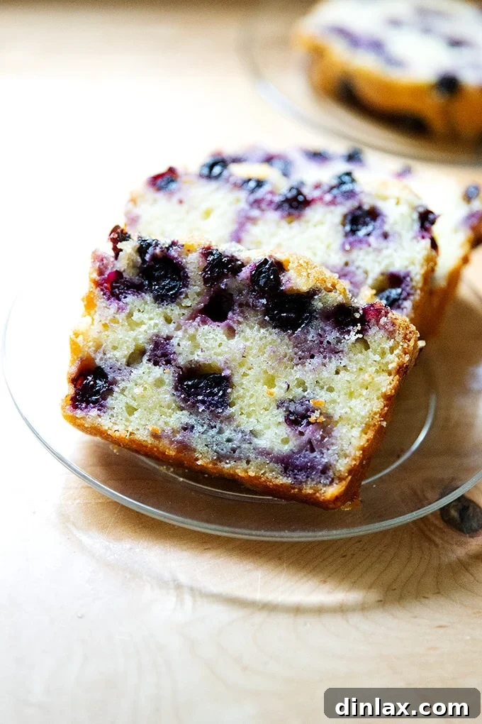 Effortless Lemon Blueberry Bread 20 Multiple slices of lemon-blueberry quick bread artfully arranged on a white plate, showcasing their inviting appearance.