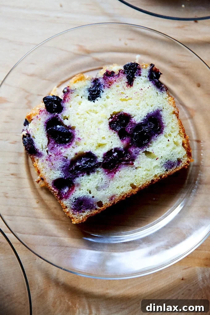 Effortless Lemon Blueberry Bread 21 A single, perfect slice of lemon blueberry quick bread on a white plate, revealing its texture and vibrant fruit.