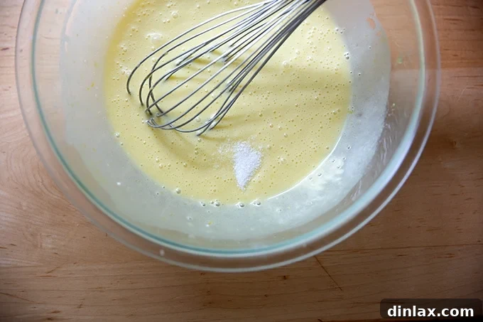 Effortless Lemon Blueberry Bread 10 Salt being whisked into the batter, ensuring even distribution of all dry ingredients.