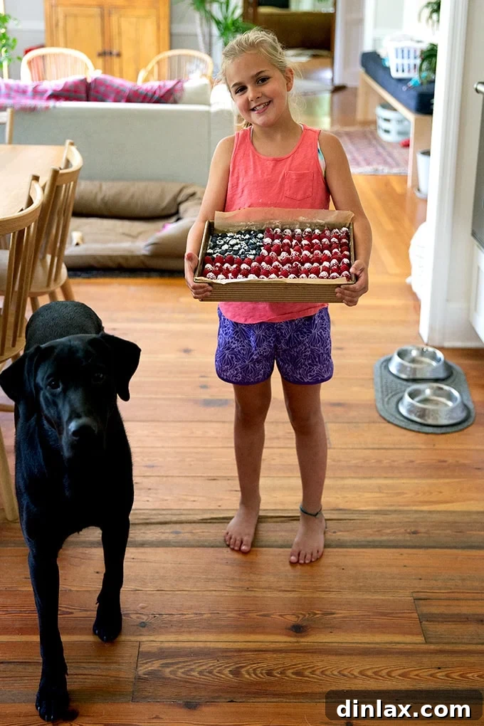 Effortless Star-Spangled Sheet Cake 15 Wren, a young girl, proudly holding the finished flag cake, standing beside a dog named Pepe, showcasing their beautiful creation.