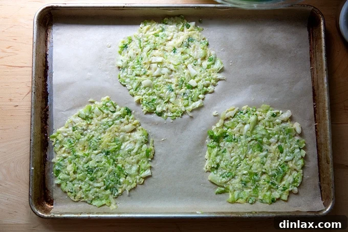 Five Ingredient Baked Cabbage Tortillas Gluten Free 10 Cabbage tortilla batter spread in three circles on a sheet pan.