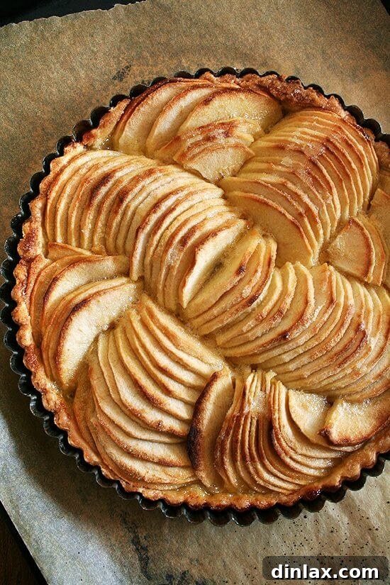 A stunning French apple tart, brimming with fanned apple slices, making a beautiful finale for any fall dinner. Freshly baked French apple tart with golden-brown crust and fanned apple slices, presented in a tart pan, ready to be served. A perfect fall dessert.