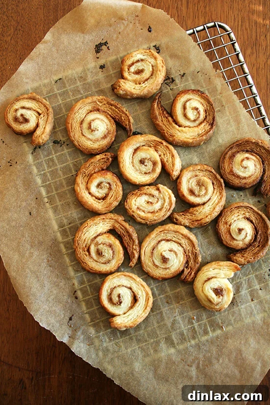 Irresistible cinnamon snails, a sweet and crunchy bonus from your tart-making adventure. Delicious cinnamon snails, made from leftover tart dough, baked to a golden perfection, perfect for a little extra treat with coffee or tea.